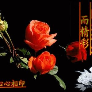 战无不胜