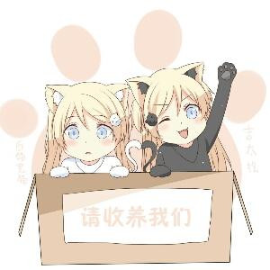 萌猫
