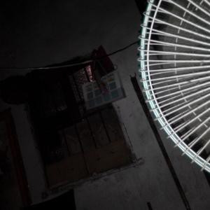 - 岁月苍白，人颜老