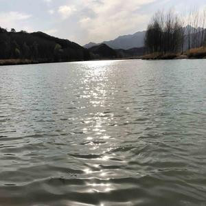 大沫儿