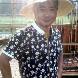 陈亮
