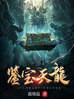 鉴宝天龙
