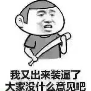 醉舞人生
