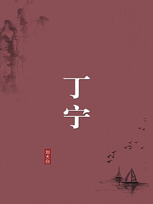 丁宁(无注释版)