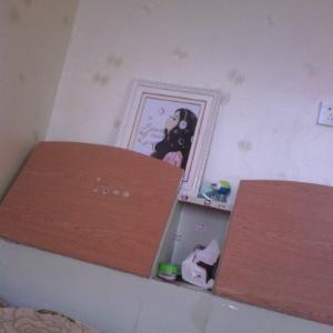 一飞冲天