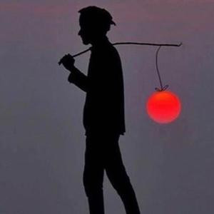 我是芦中人
