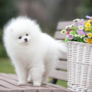 정지점【断点】