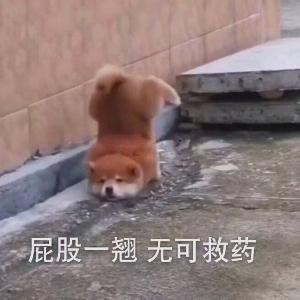 十月初九
