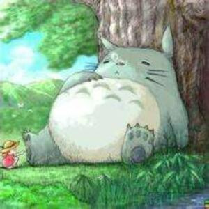 苏苏