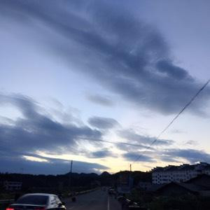 蕾蕾