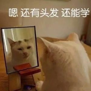 早安