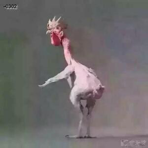 六哥