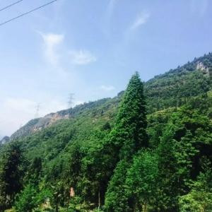 时间会淡忘一切