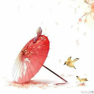 洛叶
