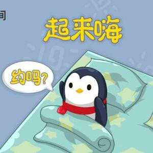 小月月