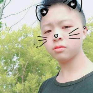 龙皇传