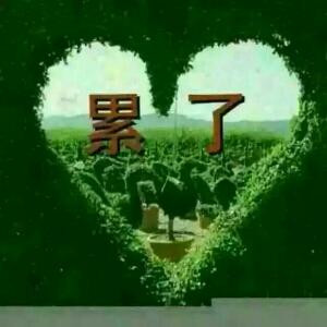 倚樓話凄凉