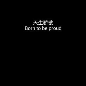 纳兰