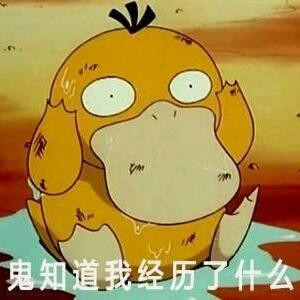 雪漫似穹天