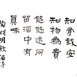 糖宝