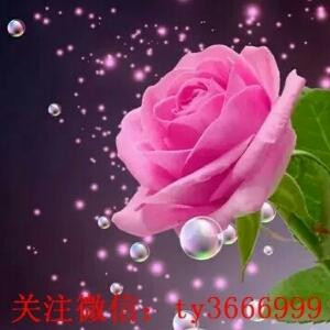 i34453656