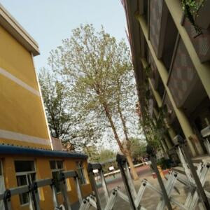 没有人会喜欢我