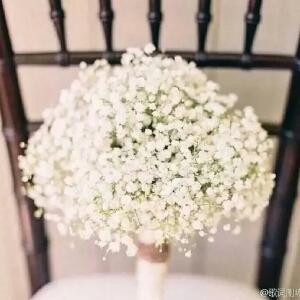 米逸菲儿
