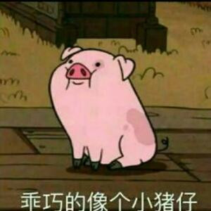 两袖清风来