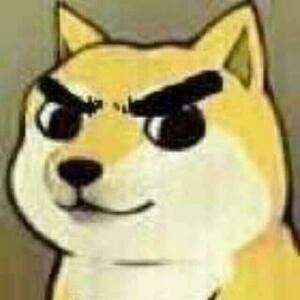 苔镜