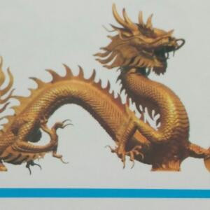 龙行天下