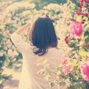 花开半夏