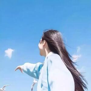 毛毛