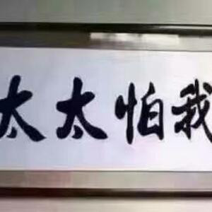 小白