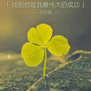 柳燕玫