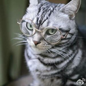 兄台来看部剧不