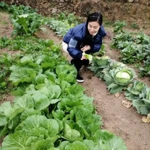 栩沐