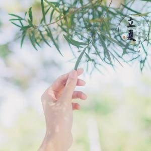 破晓惊晨
