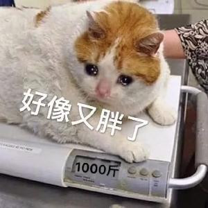 繁星点点