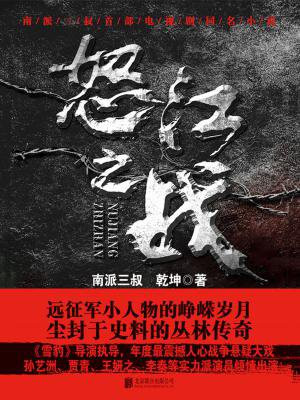 怒江之战(全集新版)