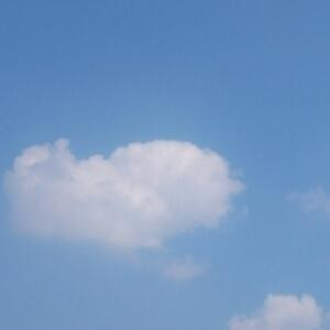 倾尽所有只为她