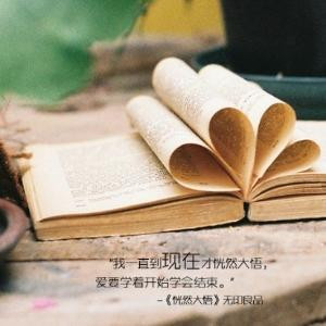 啃书