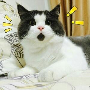 藤蔓蔓