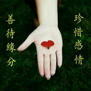 惜缘兰儿