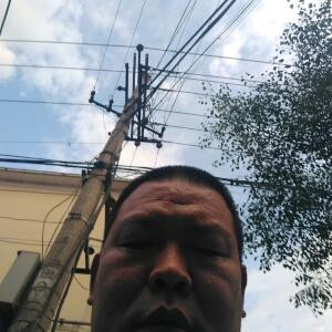 蜜蜂他爸