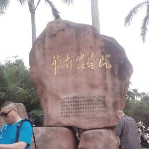雨中的承诺
