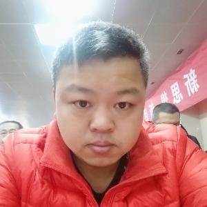 随风意动