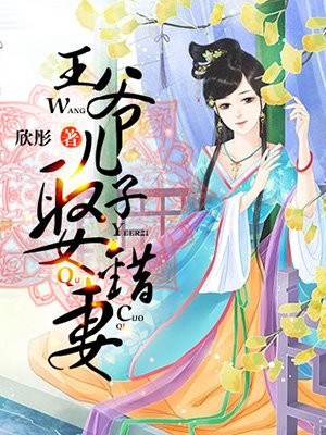 王爷儿子娶错妻（完）