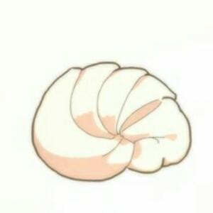 叶菁
