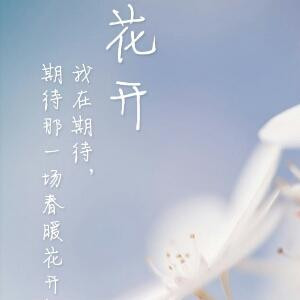 萌萌哒