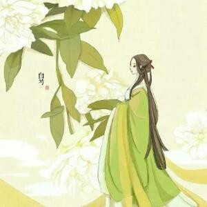 花落知多少